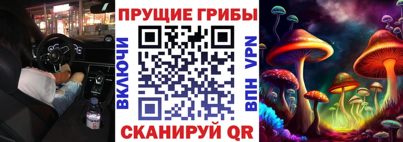 Купить закладки Себеж Псилоцибиновые грибы Psilocybine cubensis