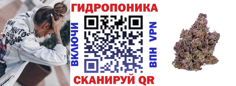 Купить  Себеж  Шишки марихуана SATIVA & INDICA 